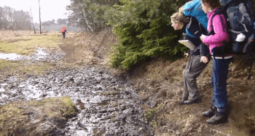 anh-dong-sai-ham-voi-cac-pha-tai-nan-ky-quac1