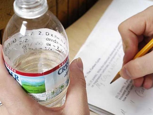 nga-ngua-voi-muon-kieu-phao-cuu-sinh-trong-mua-thi3