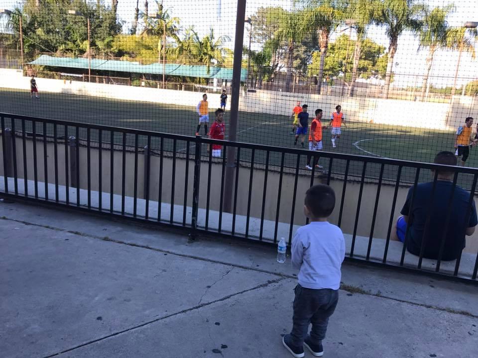 Tin sao Việt ngày 24/6 -12