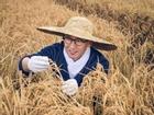 Tài tử 'Hoàn Châu cách cách' hết thời, bỏ về quê trồng lúa