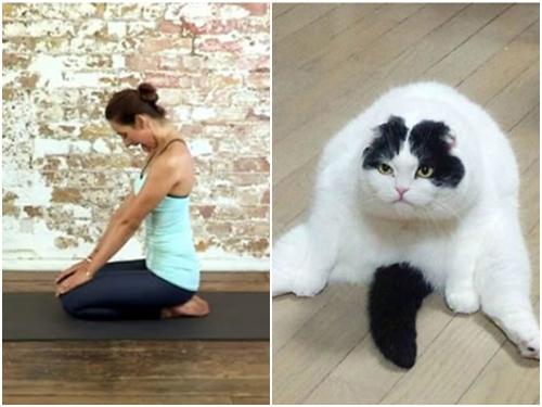 Ảnh hài: Tag đứa bạn thích tập yoga của bạn vào đây