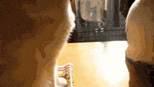 anh-dong-cuoi-sac-sua-voi-lu-meo-nghich-ngom3