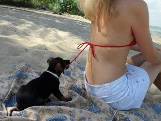 Truyện cười: Rèn chồng không sợ chó