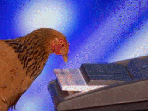 Chuyện lạ: Gà mái gây bão cuộc thi Got Talent Mỹ 2017