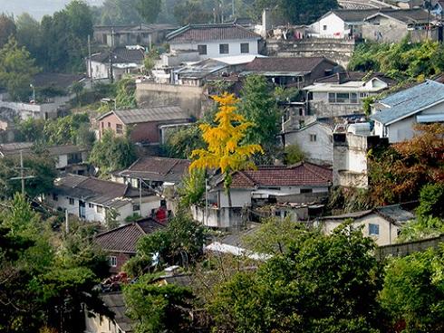 Hàn Quốc: Bố chồng giết chết con dâu người Việt