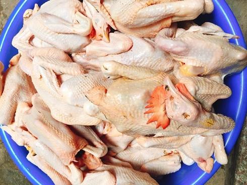 Sự thật gà ri đặc sản mổ sẵn 60 ngàn/con bán la liệt ở Hà Nội