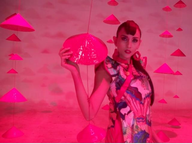 Chọn Vàng Anh làm tên dự án 10 năm, Hoàng Thùy Linh đã sẵn sàng đối mặt với scandal ám ảnh?-3