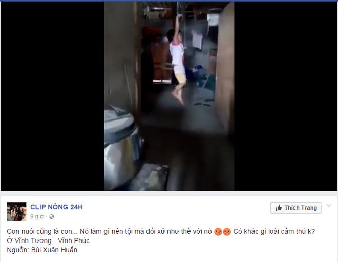 Tuần qua, trên mạng xã hội xuất hiện clip một bé gái có tên Ngọc Anh bị trói tay, treo người lên xà nhà. Theo người đăng tải, clip này xảy ra tại huyện Vĩnh Tường, Vĩnh Phúc. Sau khi xảy ra vụ việc, danh tính người bạo hành được xác định là Nguyễn Thị Phượng (chủ quán karaoke) - mẹ nuôi của nạn nhân. Nguyên nhân ban đầu được xác định là bé gái 5 tuổi trộm sữa để uống.