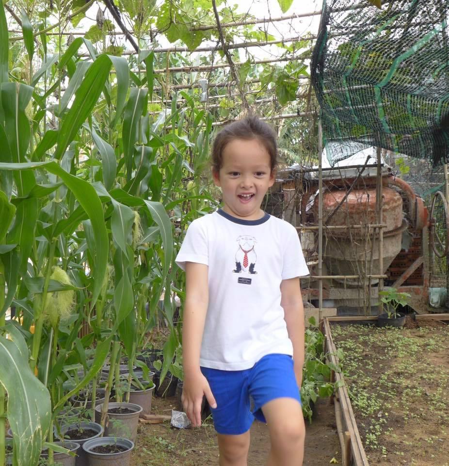 Tin tức sao Việt ngày 02/07/2017 -11