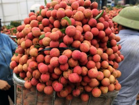 Những thời điểm ăn vải gây hại cho cơ thể