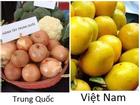 Những cách nhận biết cực dễ rau củ quả Trung Quốc và Việt Nam bằng mắt thường