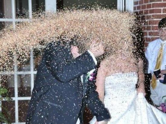 Ảnh hài: Loạt ảnh cưới khiến người xem... cười ngả nghiêng (P1)