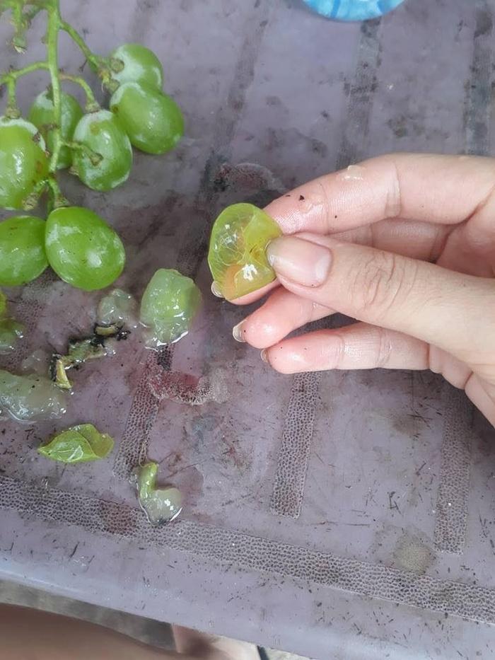 Hình ảnh được cho là nho giả vị khách mua