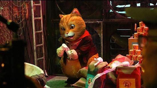 Phim tình cảm gia đình siêu mèo ra mắt -4