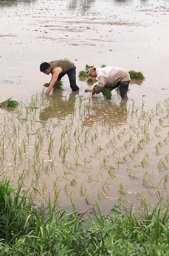 Tay giang hồ bí ẩn nhất 'Người phán xử' bất ngờ đi cày ruộng-1