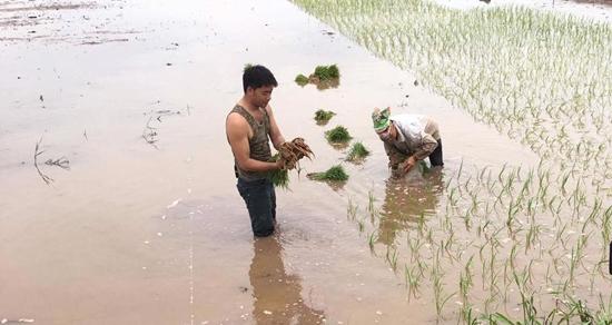 Tay giang hồ bí ẩn nhất 'Người phán xử' bất ngờ đi cày ruộng-2