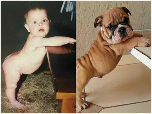 Những bức ảnh hài hước giống nhau đến mức khó tin