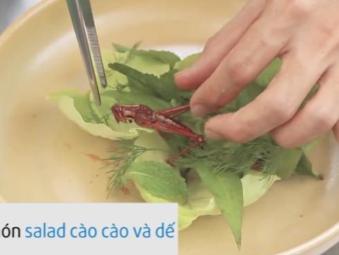 Nhà hàng côn trùng sang trọng đầu tiên ở Thái Lan