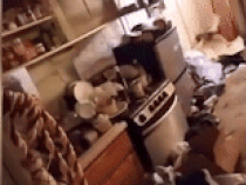 Quản lý tòa nhà suýt ngất khi thấy những gì còn sót lại trong căn hộ của kẻ thuê nhà bẩn nhất Manhattan, Mỹ