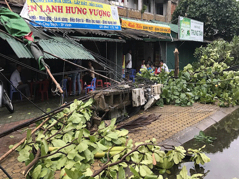 Bão số 2: Rạp cưới đổ nát, tan hoang trong ngày mưa bão