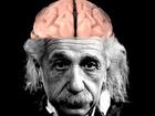 Chuyện bất ngờ về bộ não của thiên tài Albert Einstein bị đánh cắp trước khi hỏa thiêu