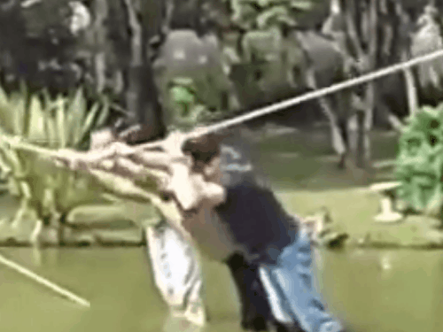 Cười vỡ bụng với những người lần đầu 'sống thử' ở miền Tây