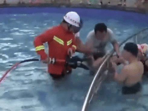 Bé trai mắc kẹt đầu ở rào chắn bể bơi