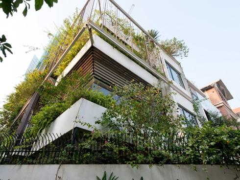 Choáng ngợp với biệt thự cổ nằm giữa vườn nho có giá tới 284 tỷ-15