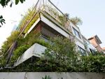 'Biệt thự xanh' tuyệt đẹp ở Hà Nội xuất hiện ấn tượng trên báo Mỹ