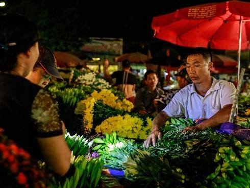 Đêm không ngủ ở chợ hoa lớn nhất Hà Nội