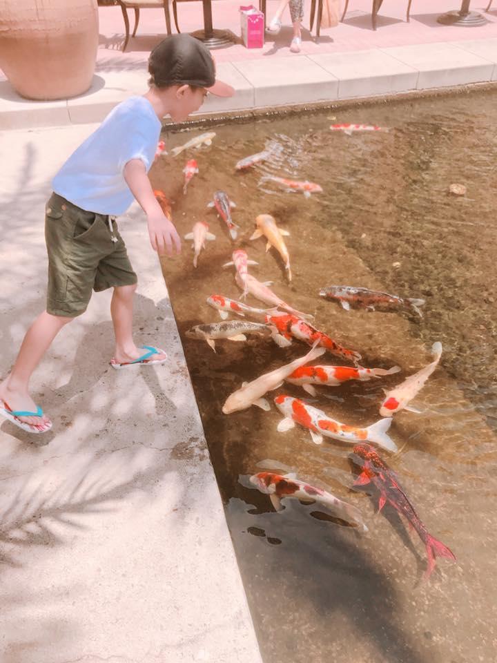 Tin tức sao Việt 19/7 -4