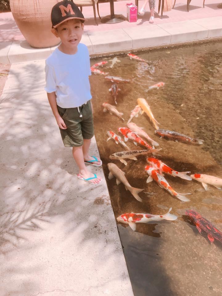 Tin tức sao Việt 19/7 -5