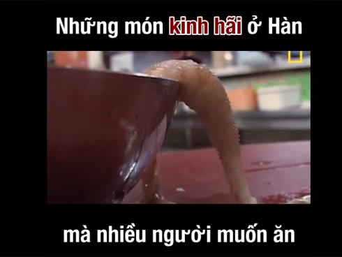 Những món ăn 'kinh dị' ở Hàn Quốc ai xem xong cũng phải giật mình, vậy mà nhiều người vẫn ăn ngon