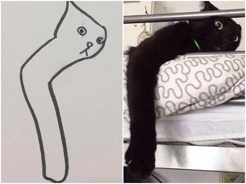 Cô giáo 'bối rối' với hàng loạt bức tranh học sinh vẽ... mèo