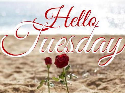 Bói cung hoàng đạo thứ ba, ngày 25/7/2017