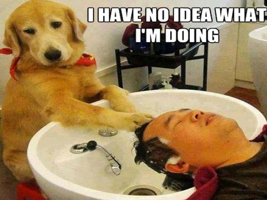 Truyện cười: Khi 'người rất tốt' làm nghề cắt tóc gội đầu