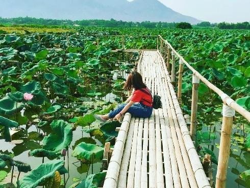 3 resort sinh thái gần Hà Nội cho người lười đi xa cuối tuần