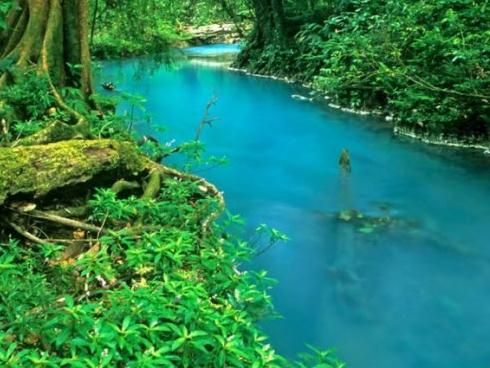 Giải mã màu nước xanh bí ẩn của dòng sông ở Costa Rica