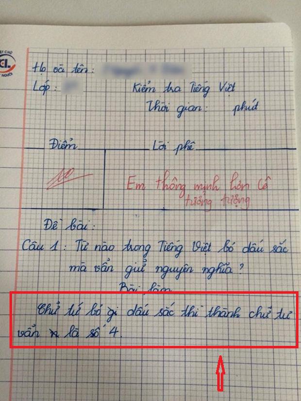 'Từ nào trong Tiếng Việt bỏ dấu sắc mà vẫn giữ nguyên nghĩa?', câu trả lời của bé lớp 3 khiến nhiều người 'đứng hình'-1