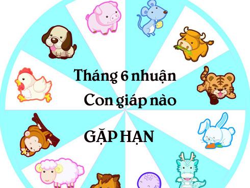 Tử vi chủ nhật ngày 30/7/2017 của 12 cung hoàng đạo-13