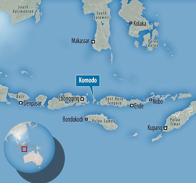 Du khách ghi được cảnh sinh vật cực hiếm thấy khi lặn biển-2