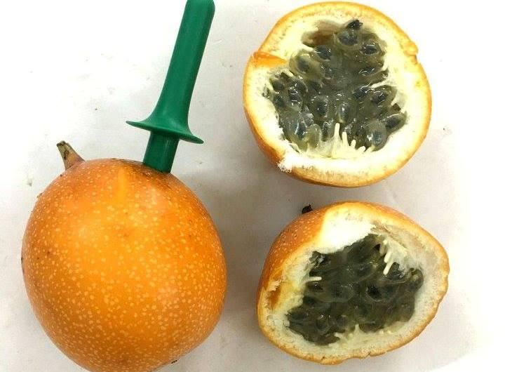 Mực khổng lồ Hong Kong, chanh leo Colombia: Món ăn vặt khác người-2