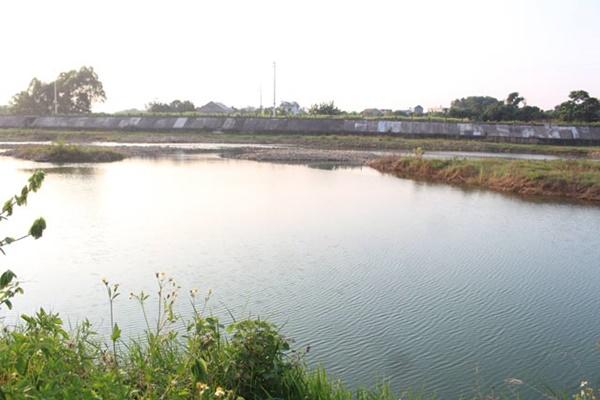 Quảng Ninh: 3 học sinh cùng trường đuối nước thương tâm-1