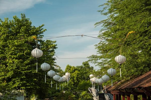 Chàng rể Thụy Điển tương lai chào bố mẹ vợ là 'chào bờ mi' và đám cưới màu xanh bạc hà-7