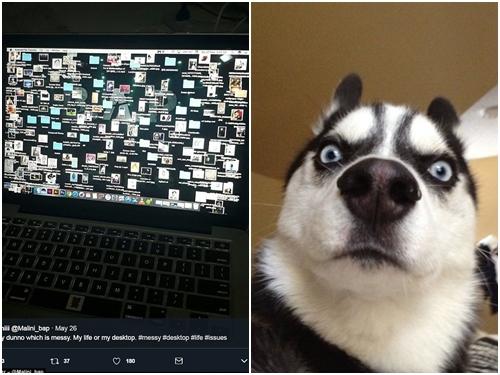 'Nhức mắt' với màn hình máy tính của người lười biếng