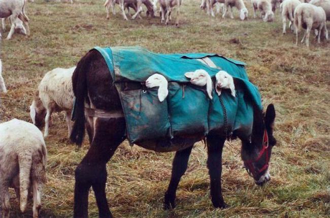 Xả 'xì trét' cuối tuần - Mại dzô!-9