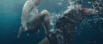 Ngô Kinh: Ngôi sao võ thuật đang thay thế Lý Liên Kiệt, Chân Tử Đan-4