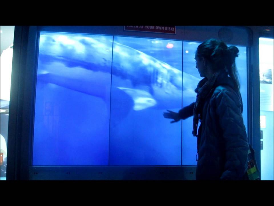 Trò chơi cân não và xe của James Bond ở bảo tàng gián điệp Mỹ-9