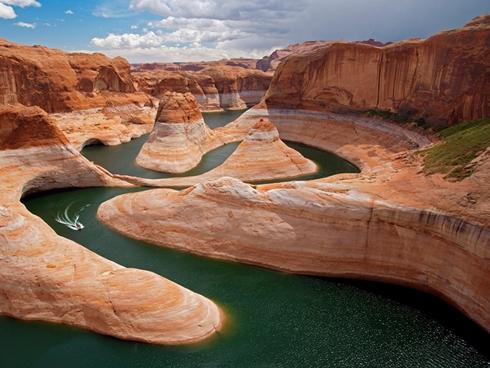 Trái đất kỳ vĩ: từ rừng bướm tới cầu sang đường cho thú hoang