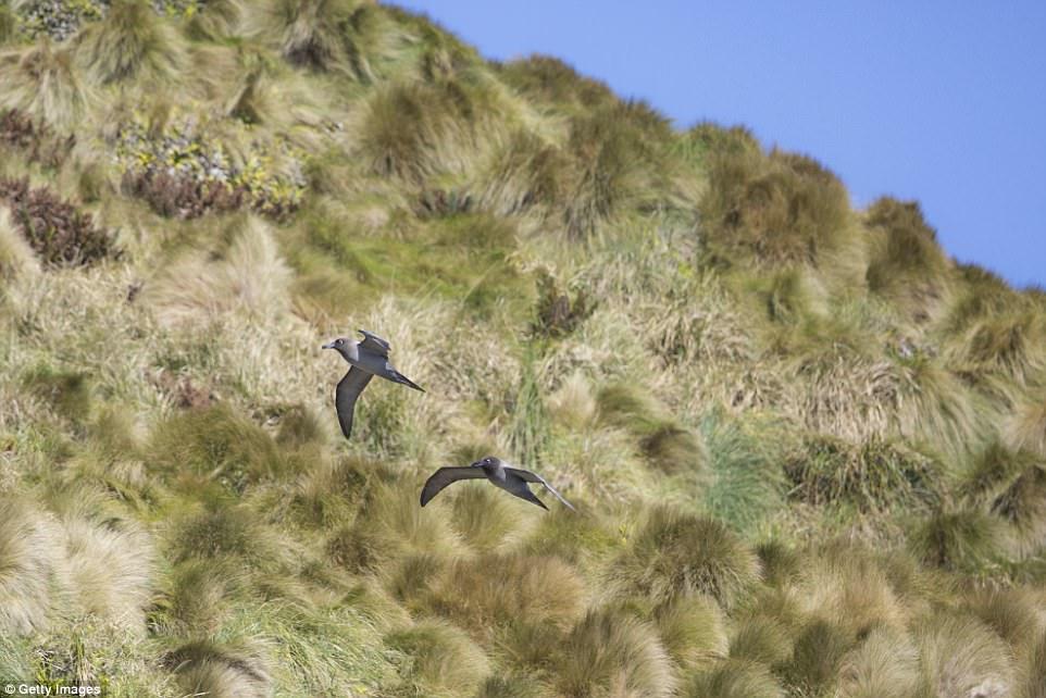 Khám phá 8 hòn đảo không người đẹp ngoài sức tưởng tượng-8